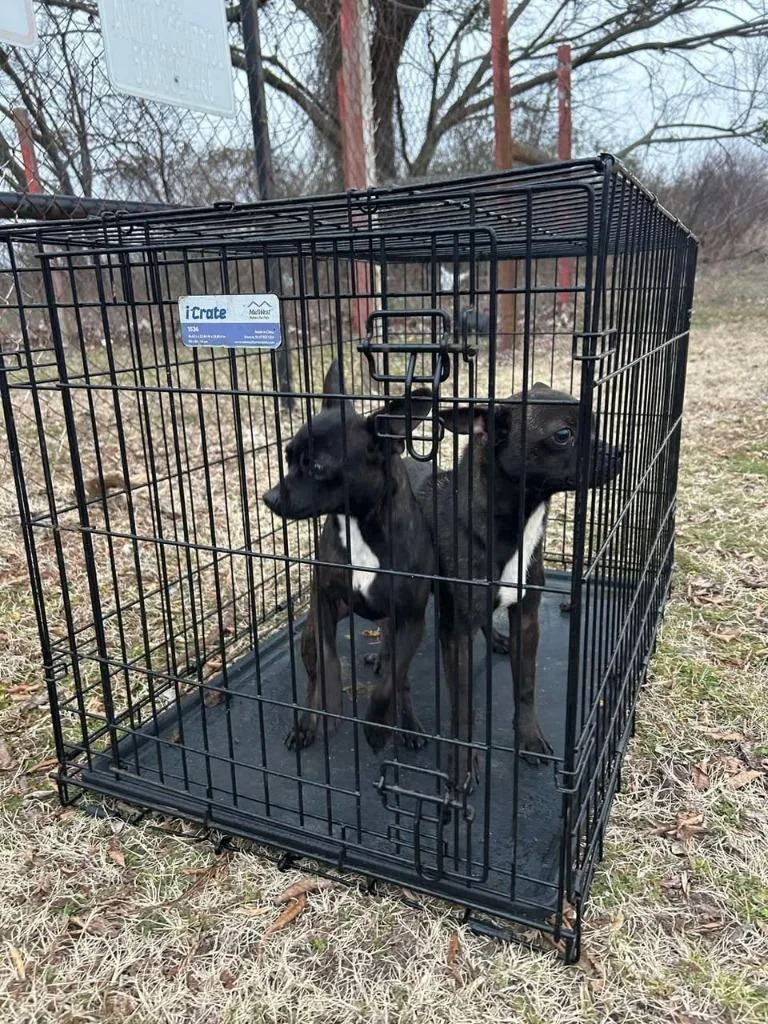 Lee thumbnail 5