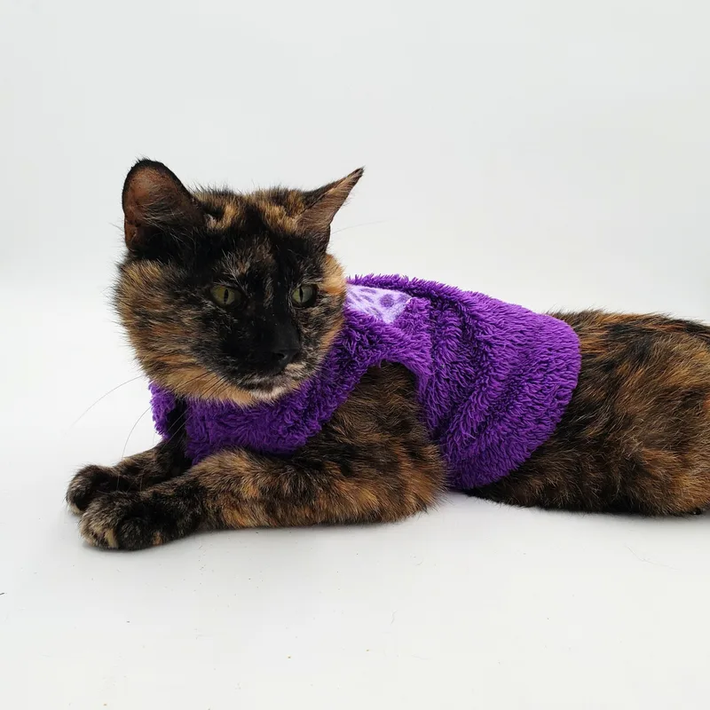 Clementine thumbnail 3