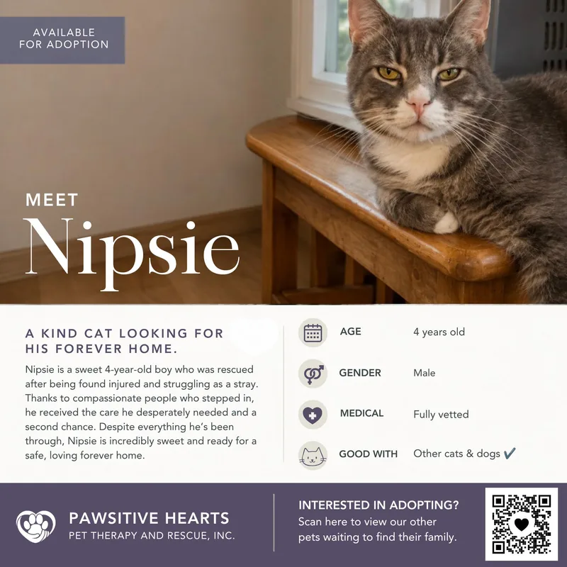 Nipsie thumbnail 4