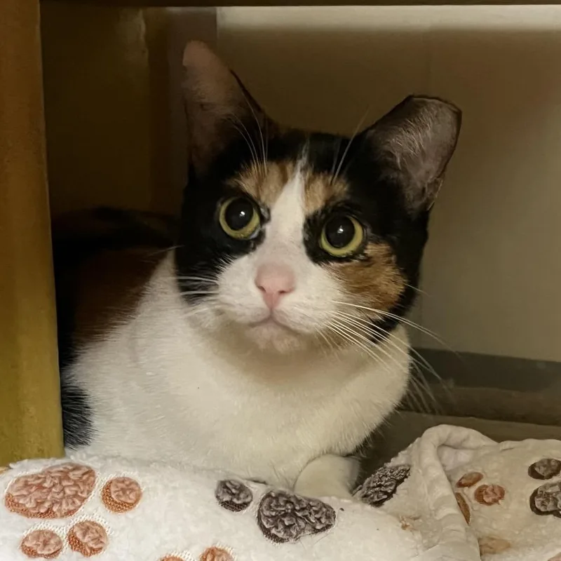 Paradise thumbnail 4