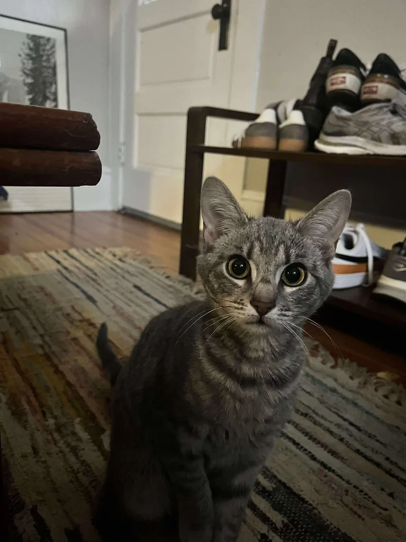 Green Bean thumbnail 2