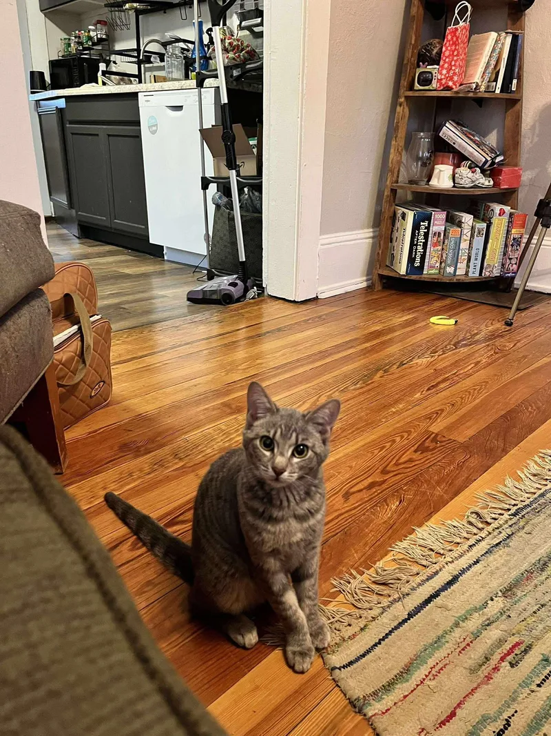 Green Bean thumbnail 4