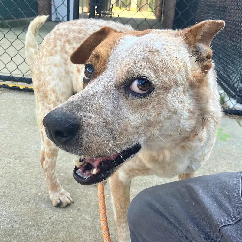 Gunsmoke thumbnail 2