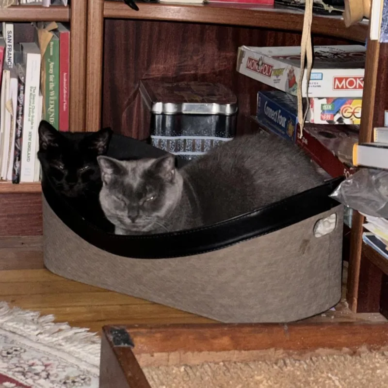 Florence thumbnail 2