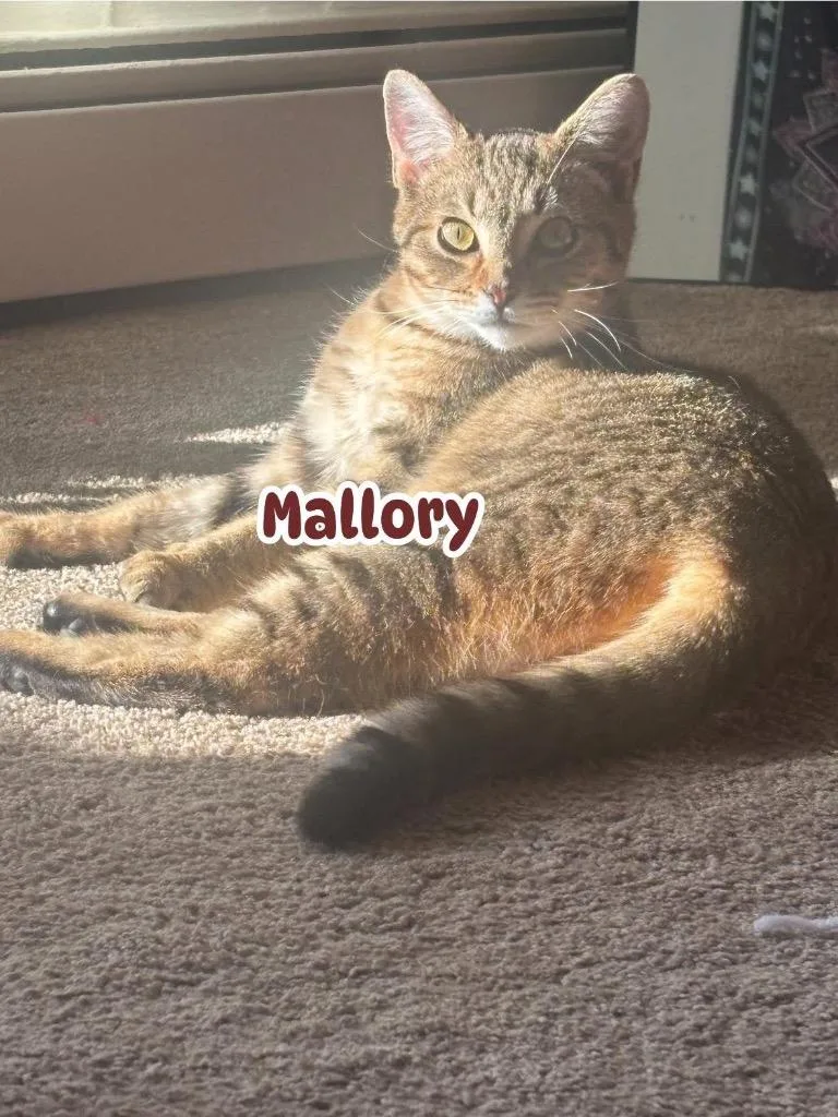 Mallory thumbnail 2