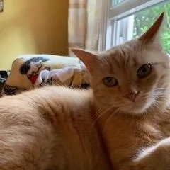 Freckles thumbnail 2