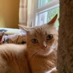 Freckles thumbnail 3