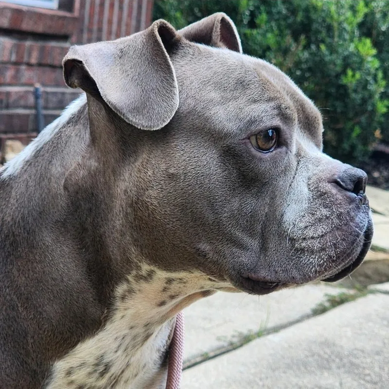 Hershey thumbnail 3
