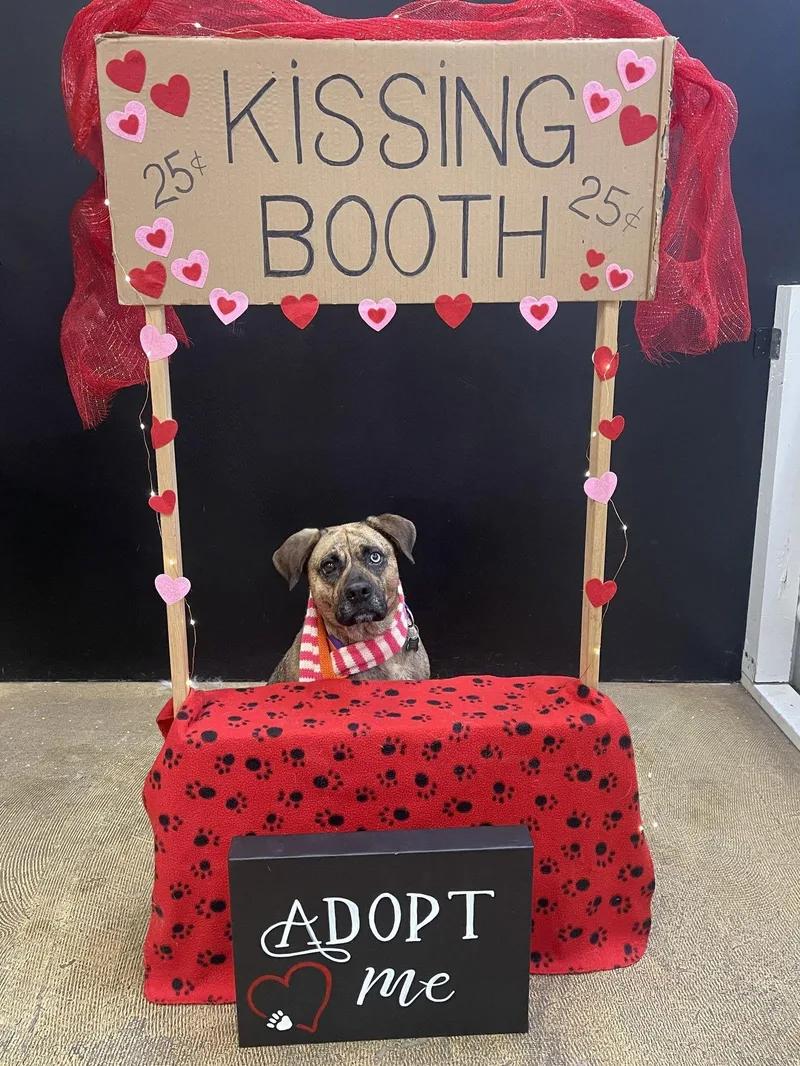 Honey Athens thumbnail 2