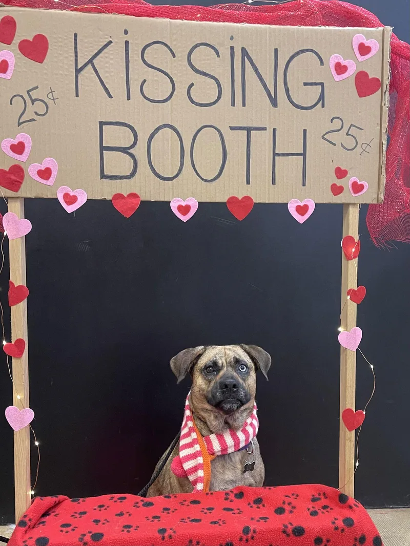 Honey Athens thumbnail 3