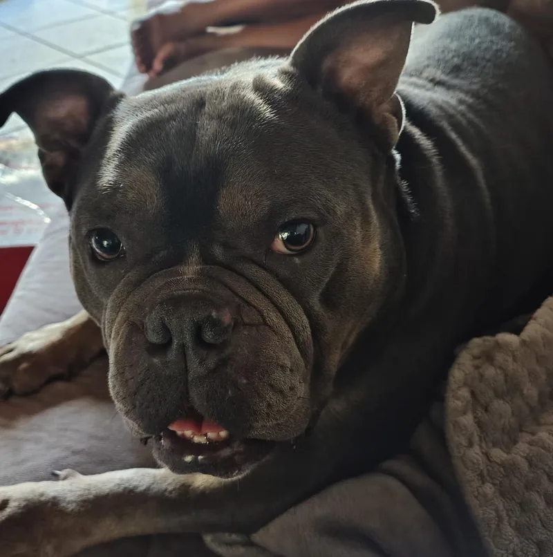 Nala thumbnail 2