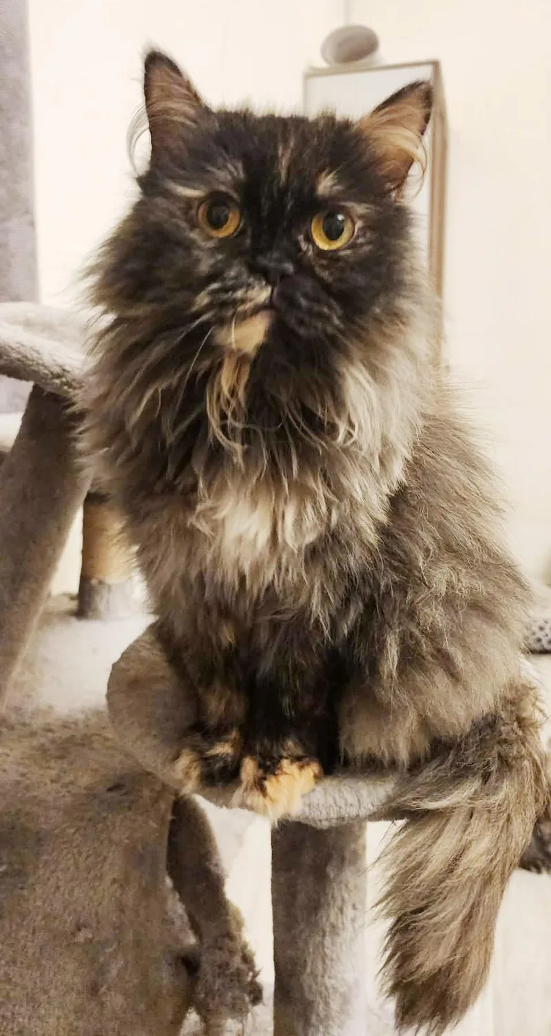 Rain Will Make Every thumbnail 2