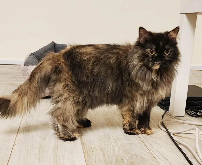 Rain Will Make Every thumbnail 3