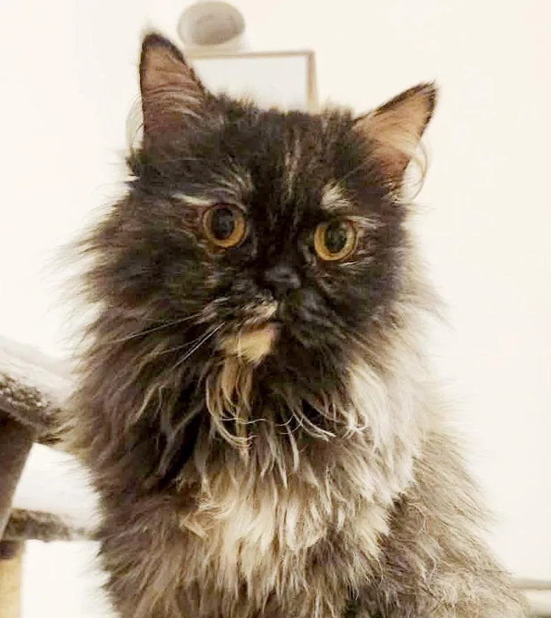 Rain Will Make Every thumbnail 4