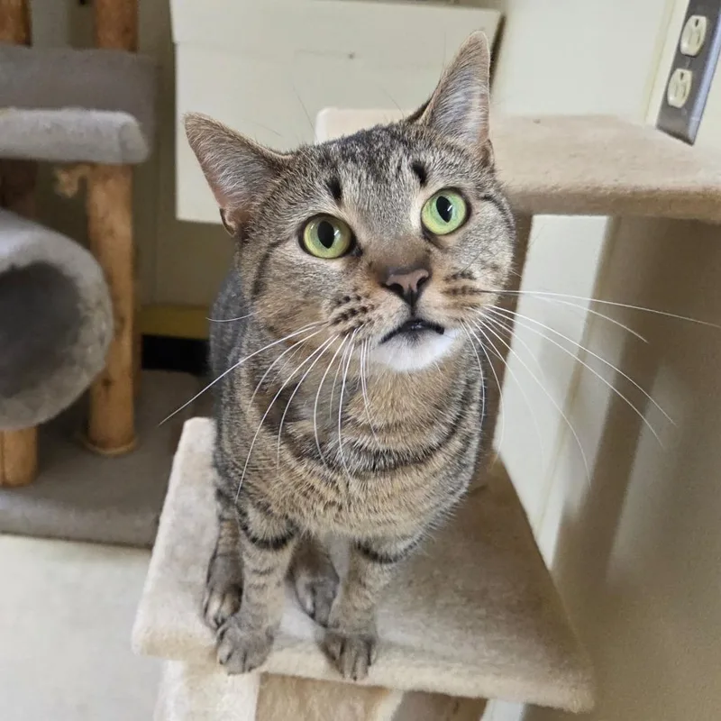 Honey Bun thumbnail 2