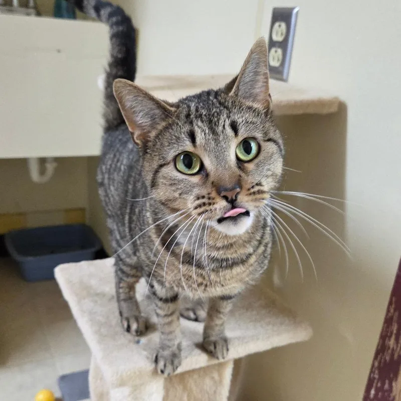 Honey Bun thumbnail 5