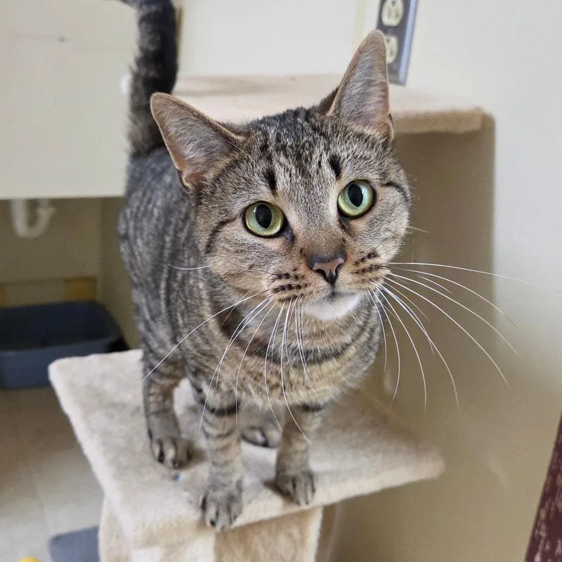 Honey Bun thumbnail 6