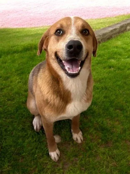 Big Boy Jethro thumbnail 2