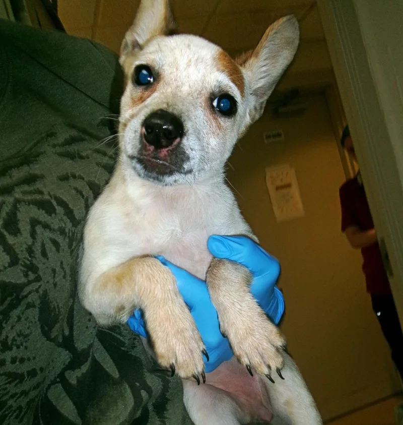 Winifred thumbnail 2