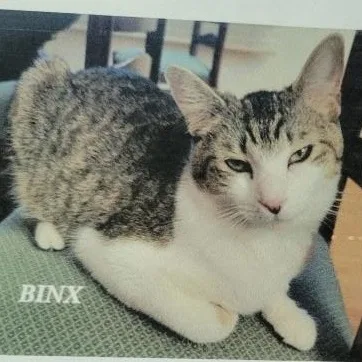 Binx