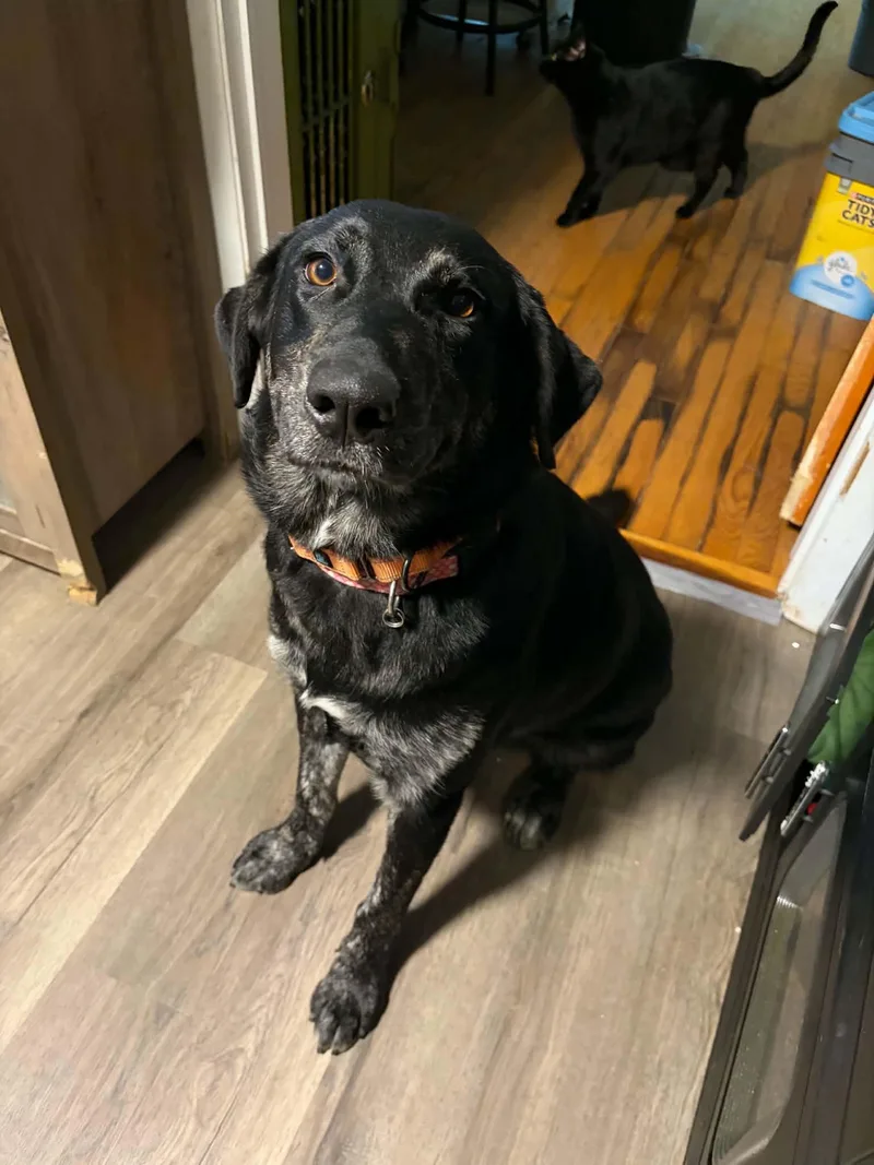 Sadie