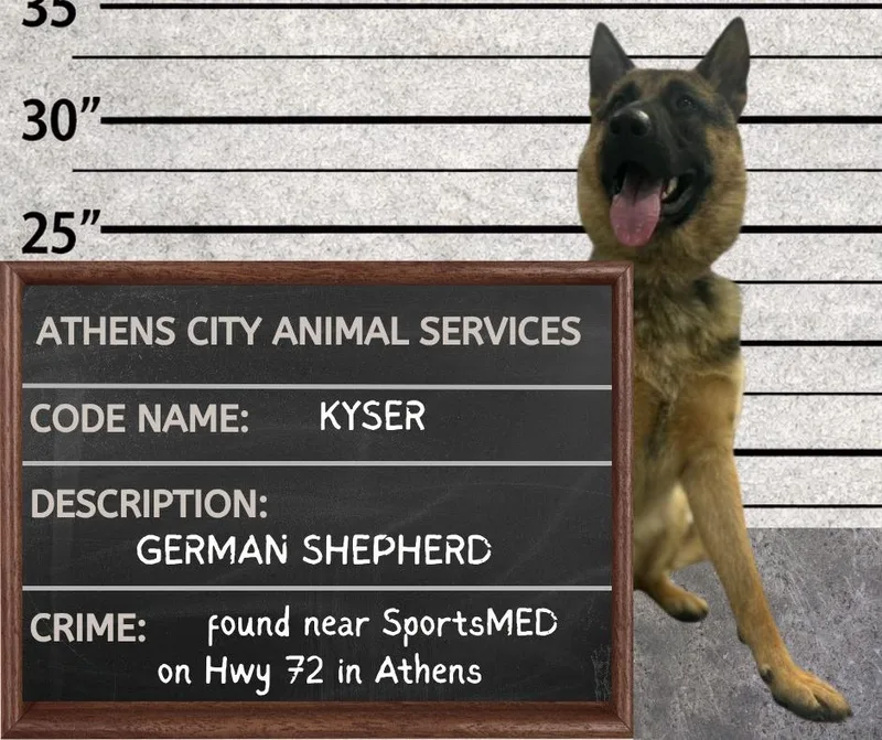 Kyser  Stray Hold
