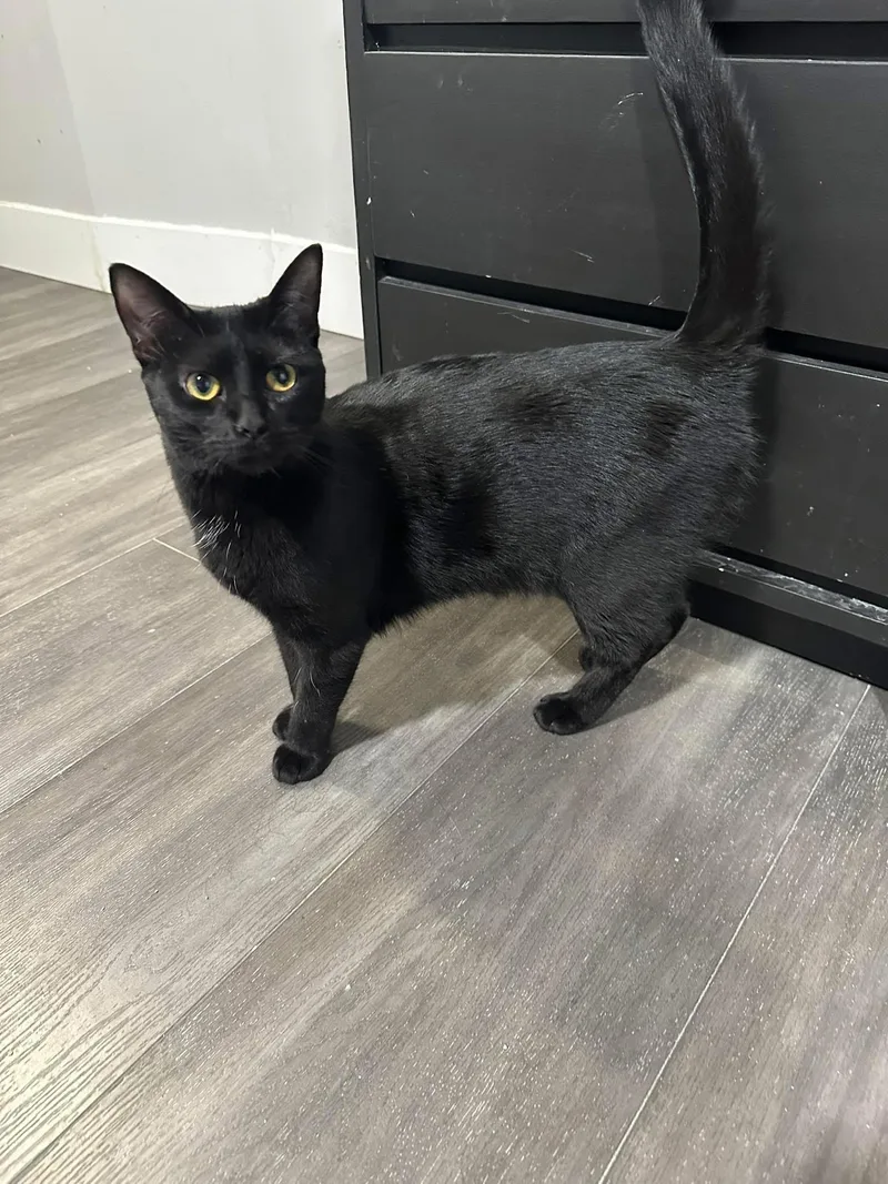 Speck And Spock thumbnail 2