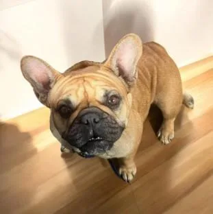 Nadia Aka Toast thumbnail 5