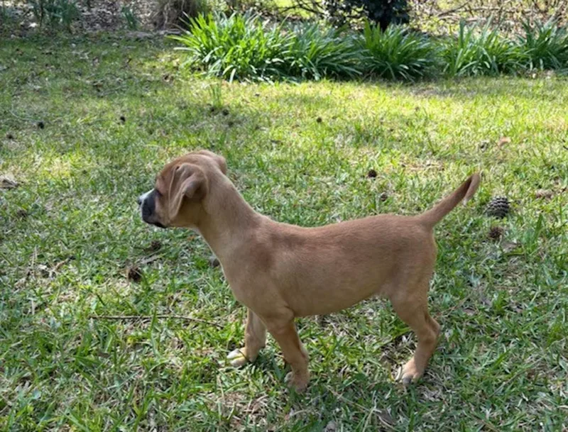 Milky Way thumbnail 2