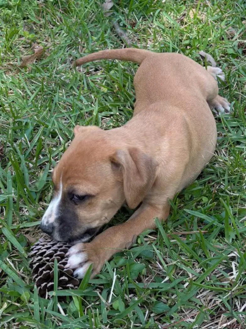 Milky Way thumbnail 3