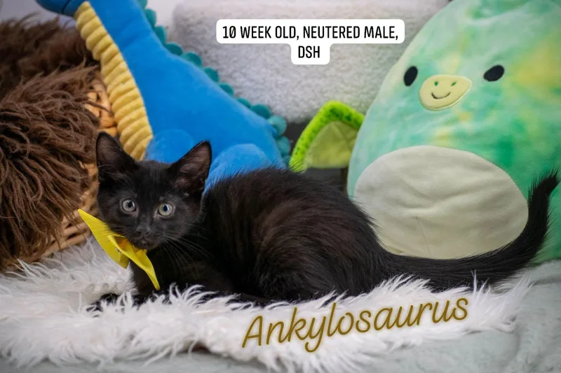 Ankylosaurus thumbnail 4