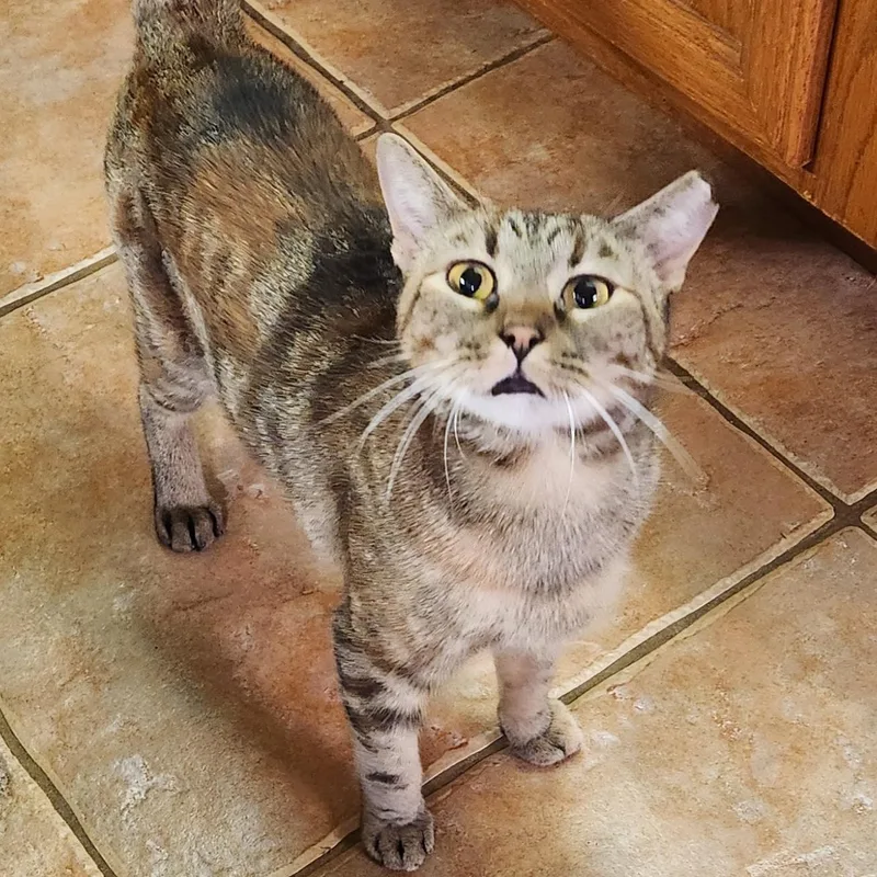 Lucy