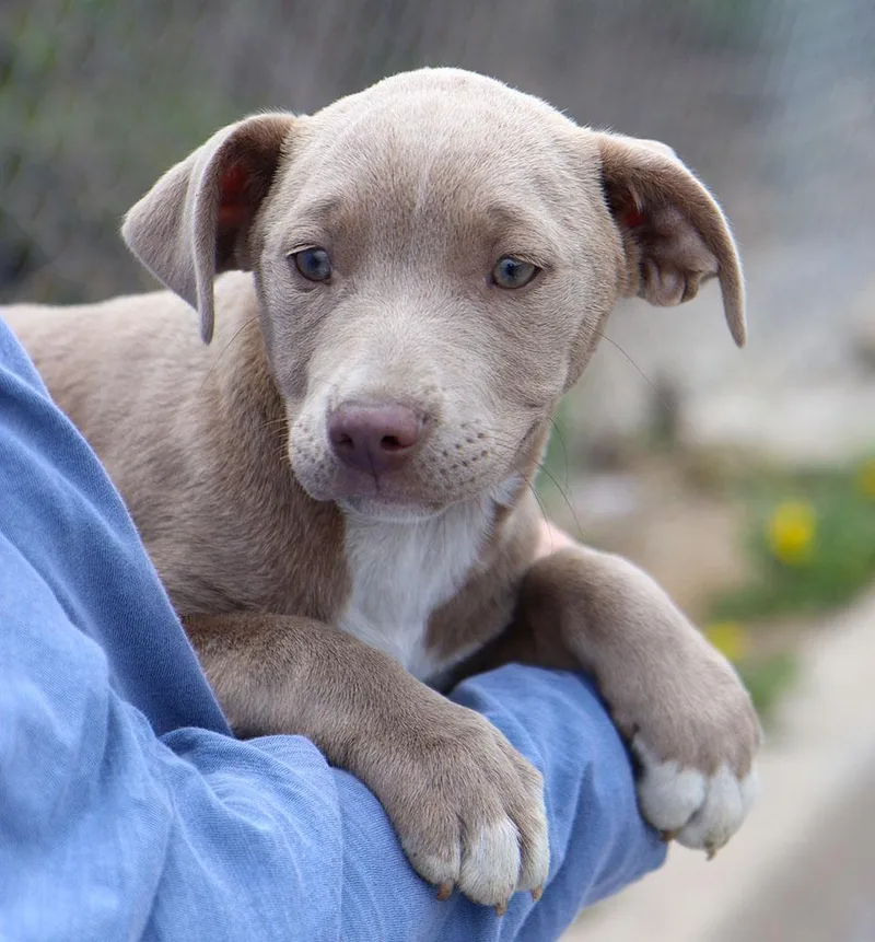 Christina thumbnail 2