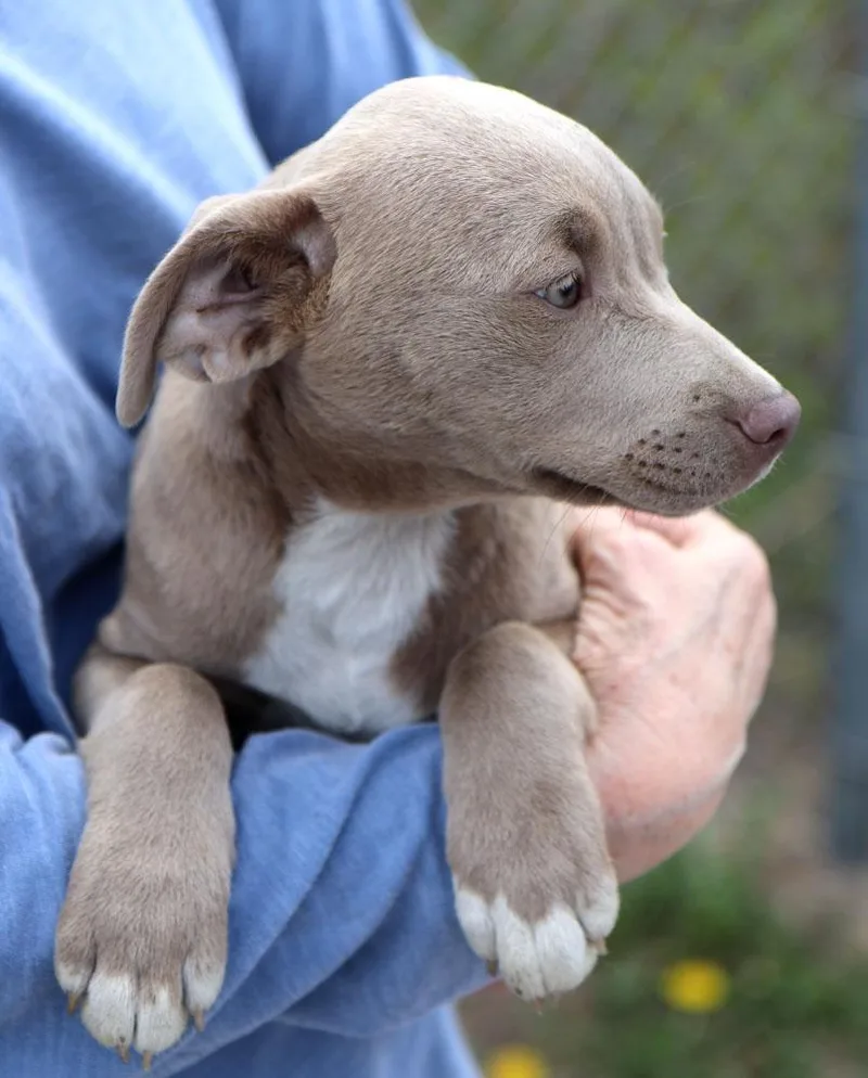 Christina thumbnail 3