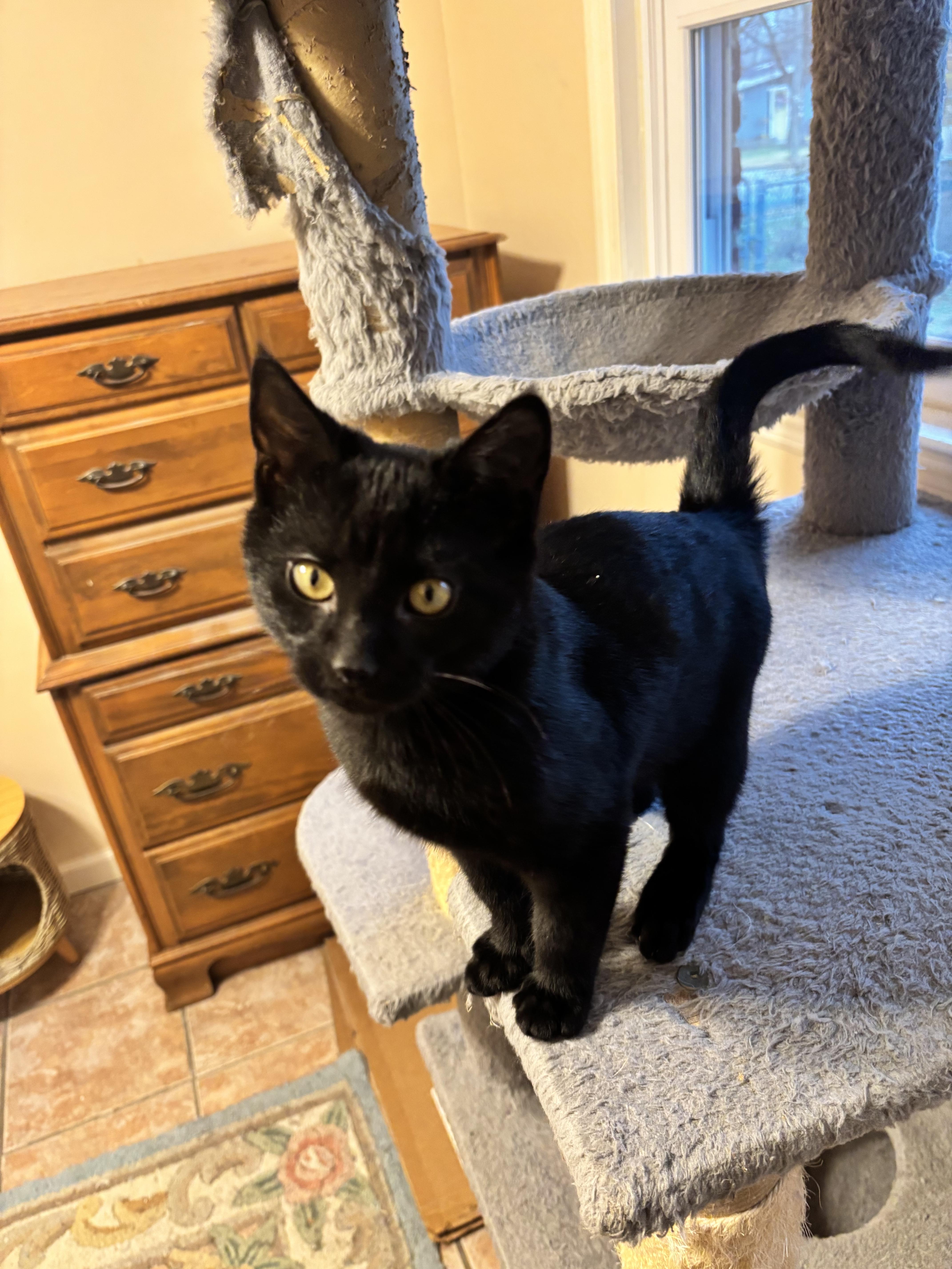 Littleman thumbnail 2