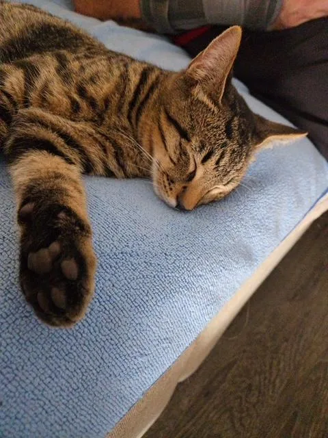 Suki& Thor thumbnail 4