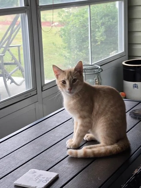 Suki& Thor thumbnail 6