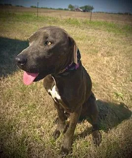 Glenn Dale thumbnail 3