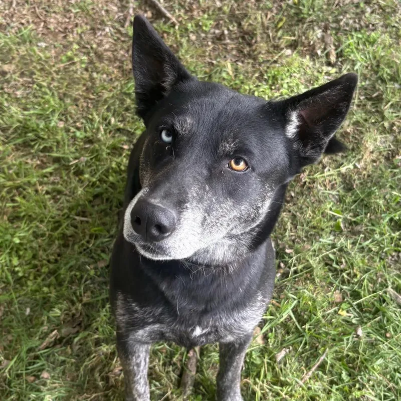 Valerie D thumbnail 2