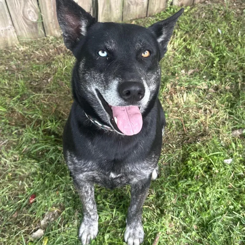 Valerie D thumbnail 3