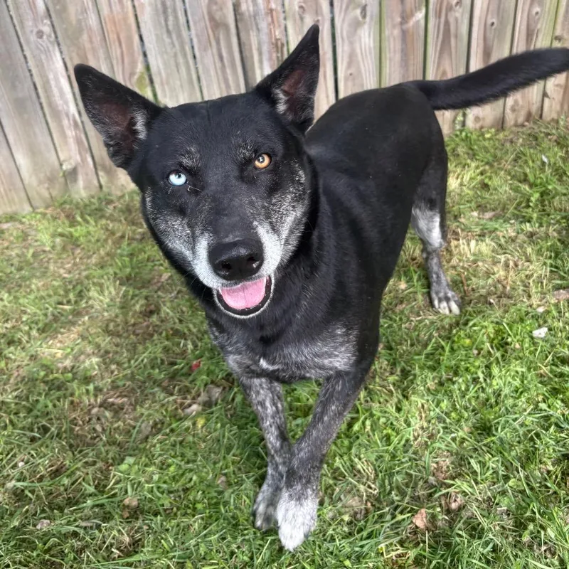 Valerie D thumbnail 4