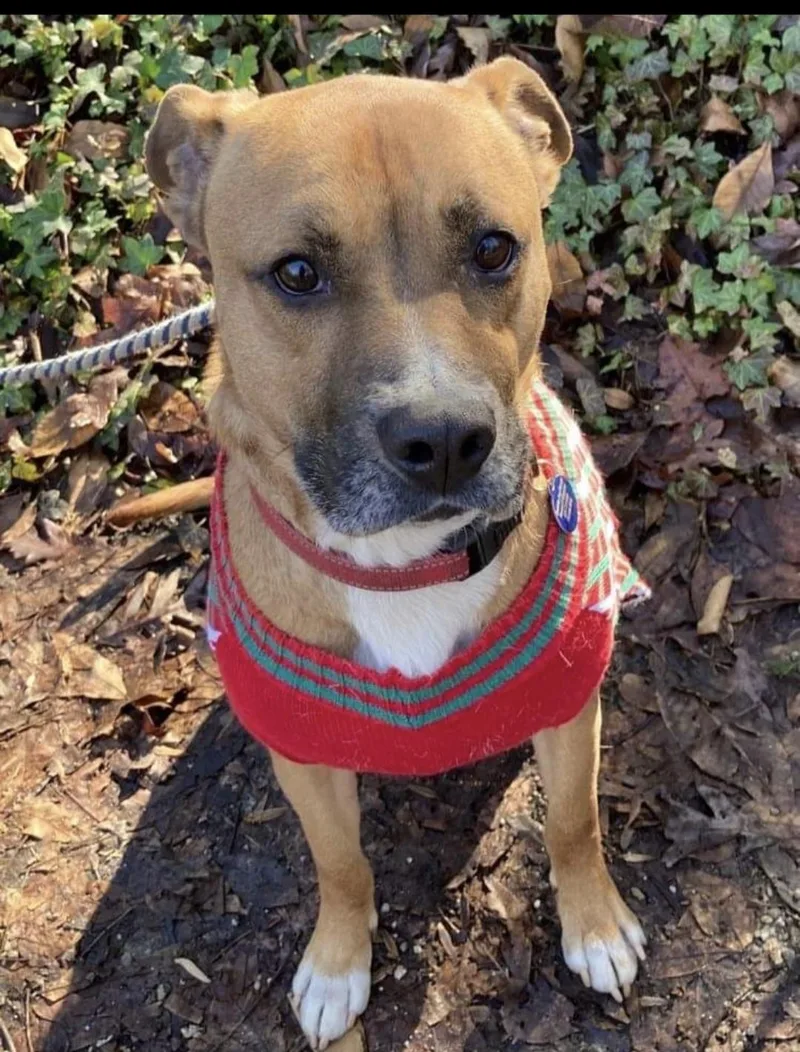 Roscoe