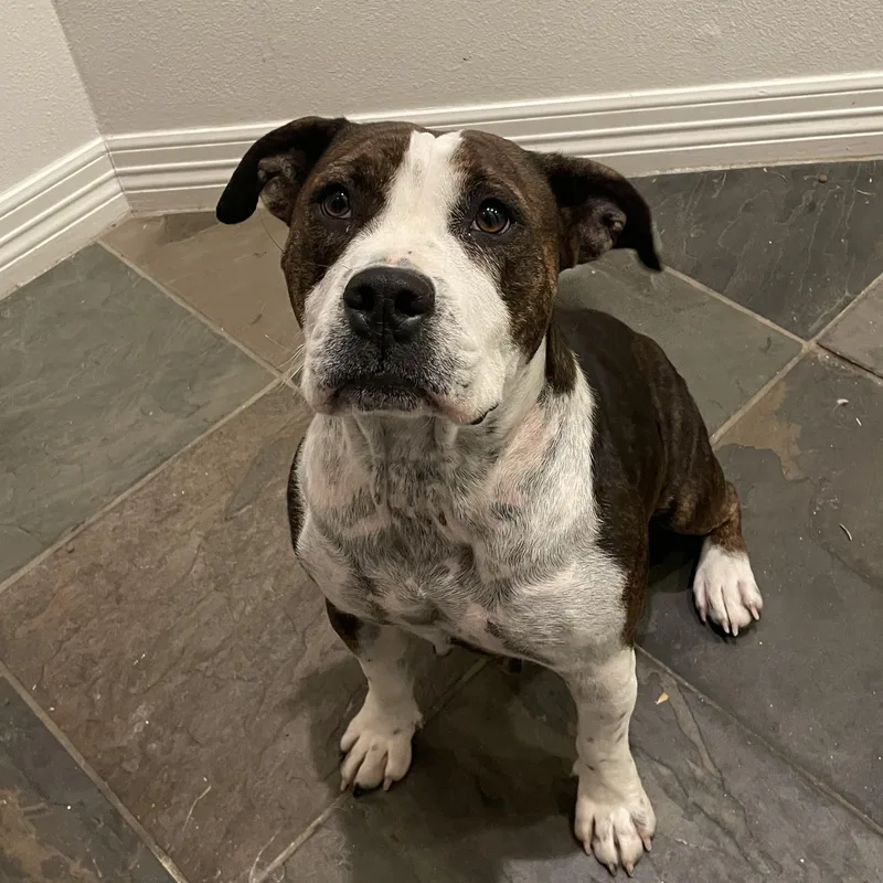 Maggie Mae thumbnail 6