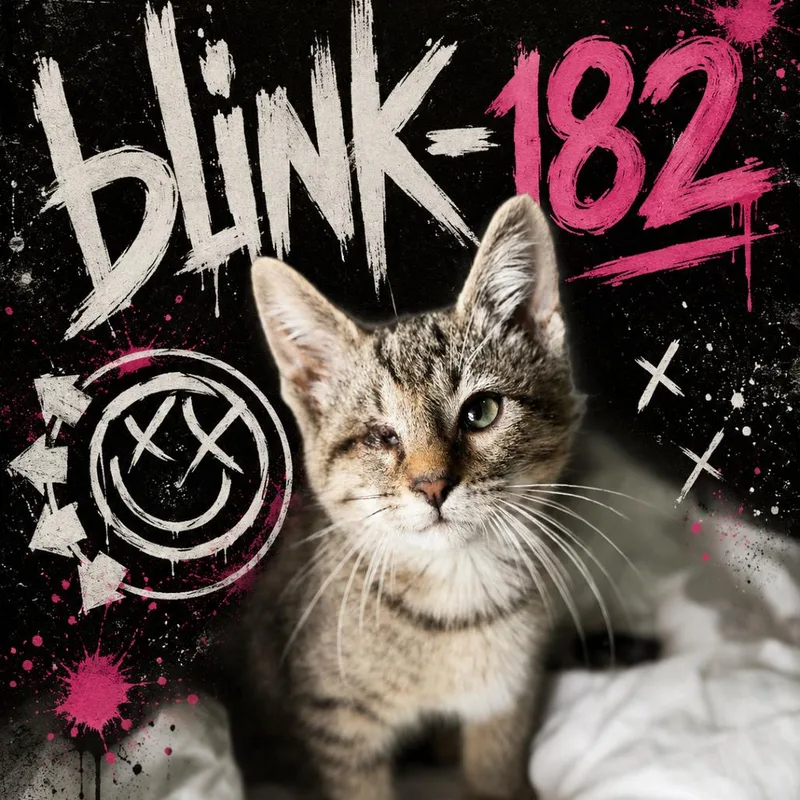 Blink