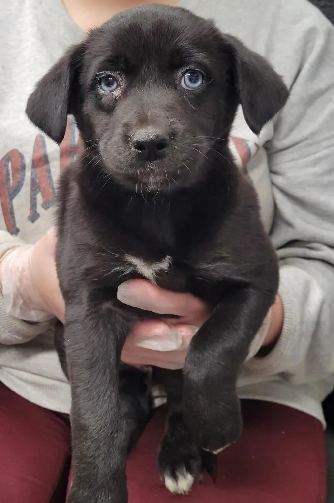 Harlowesunny thumbnail 2