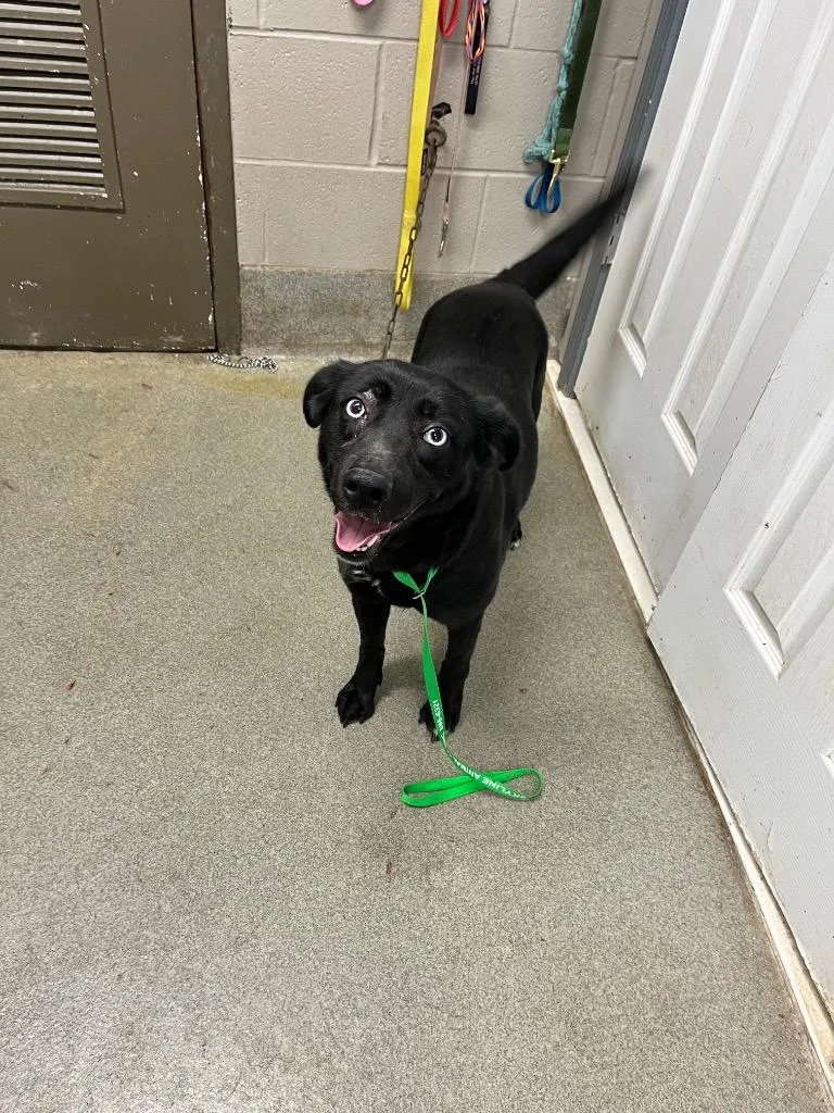 Harlowesunny thumbnail 3