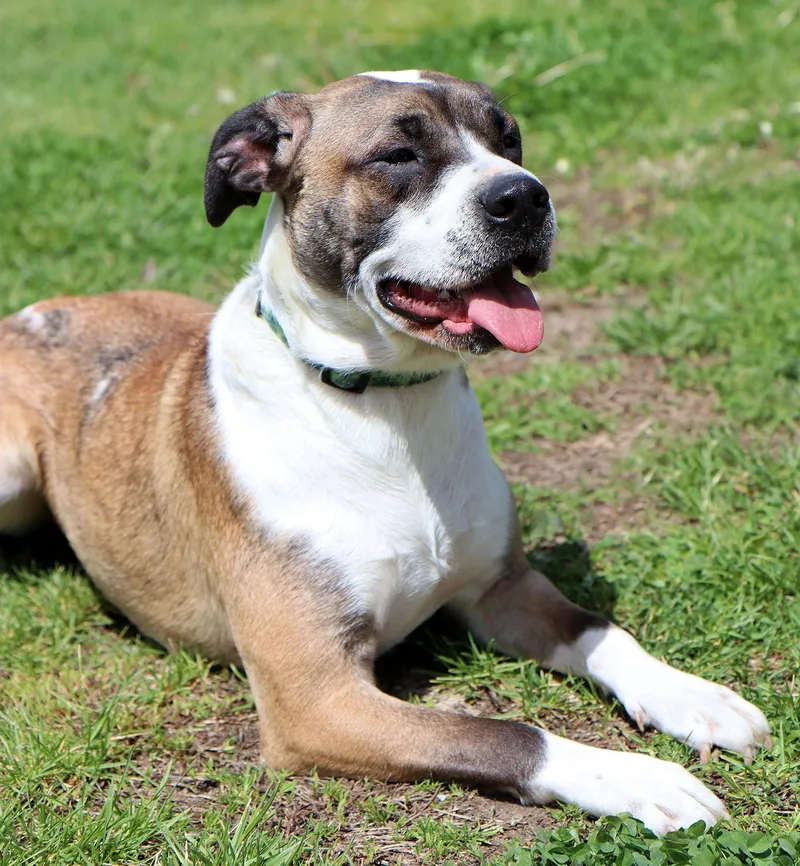 Winky Cl thumbnail 2