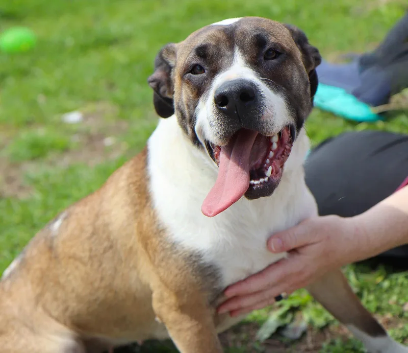 Winky Cl thumbnail 3