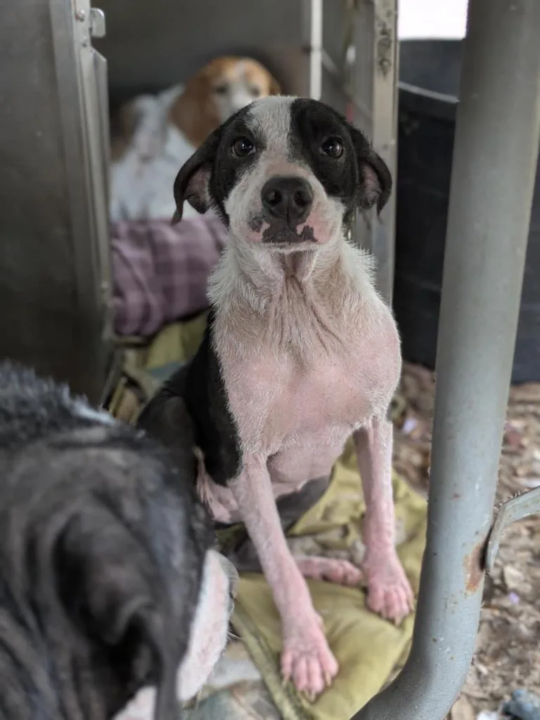 Winifred thumbnail 2