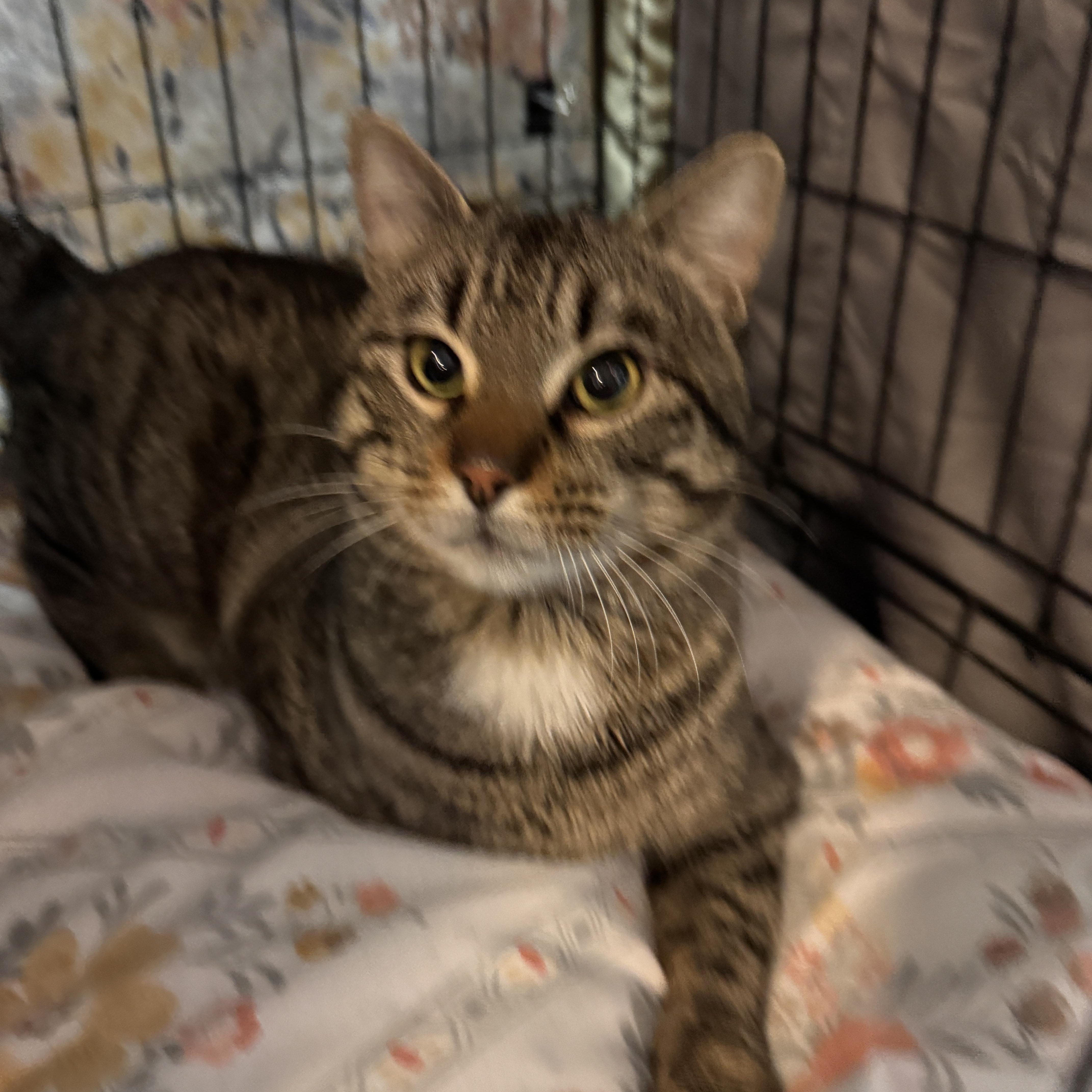 Miles Mclean thumbnail 2